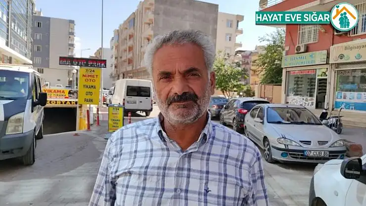 Diyarbakır'da dereye atlayan koyunu 500 koyun takip etti: 36 koyun telef oldu