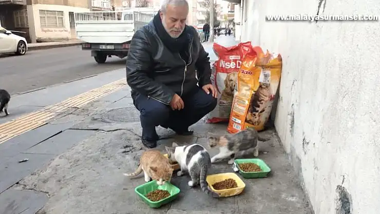 Diyarbakır'da hayırseverler destek veriyor, sokak hayvanları mamasız kalmıyor