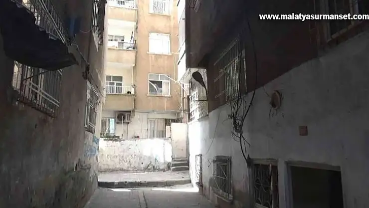 Diyarbakır'da hırsızlar karakolun dibinde internet kablolarını çaldı