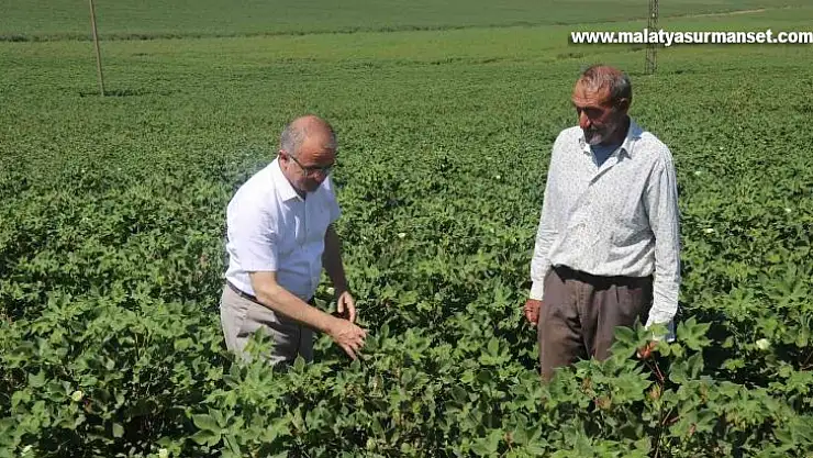 Diyarbakır'da hububat hasadı bitti: İl Tarım ve Orman Müdüründen 'anız yangını' uyarısı