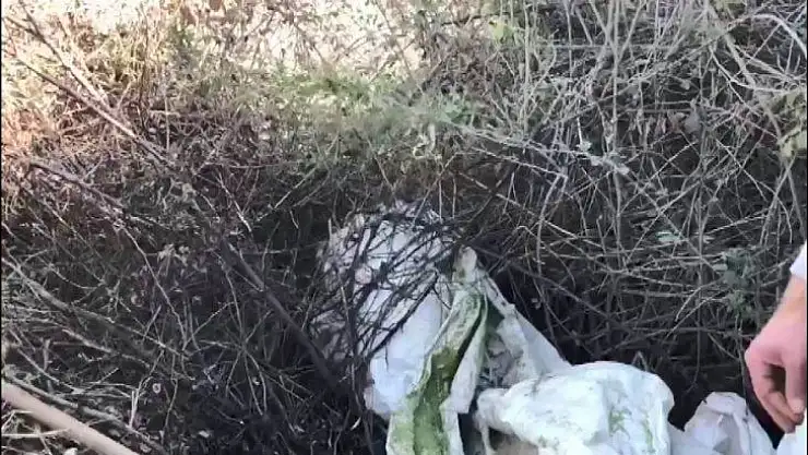 Diyarbakır'da Kıran-11 Operasyonu başlatıldı