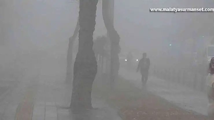 Diyarbakır'da sis hayatı olumsuz etkiledi