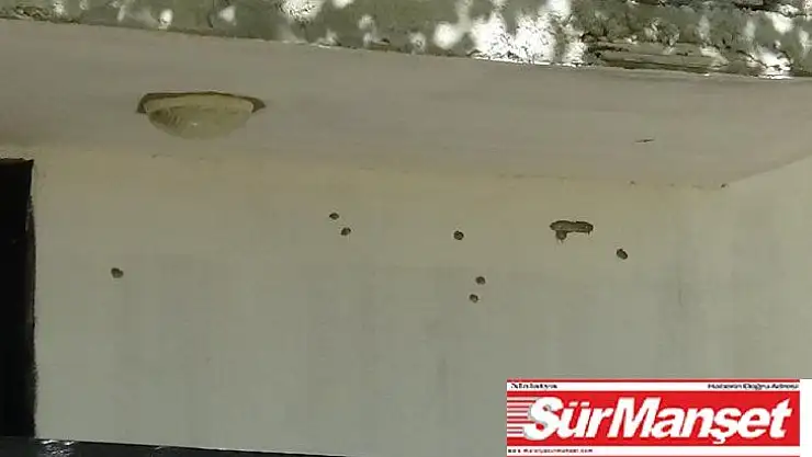 Diyarbakır'daki silahlı kavgada kahreden detay