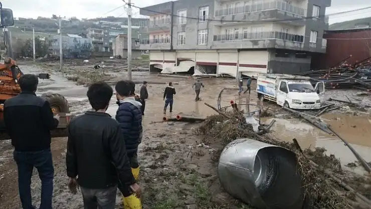 Diyarbakır'ı sağanak vurdu, onlarca büyükbaş hayvan telef oldu
