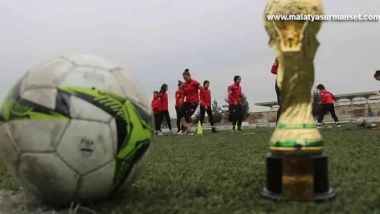 Diyarbakır'ın fabrika gibi okulu, milli takımlara sporcu yetiştiriyor