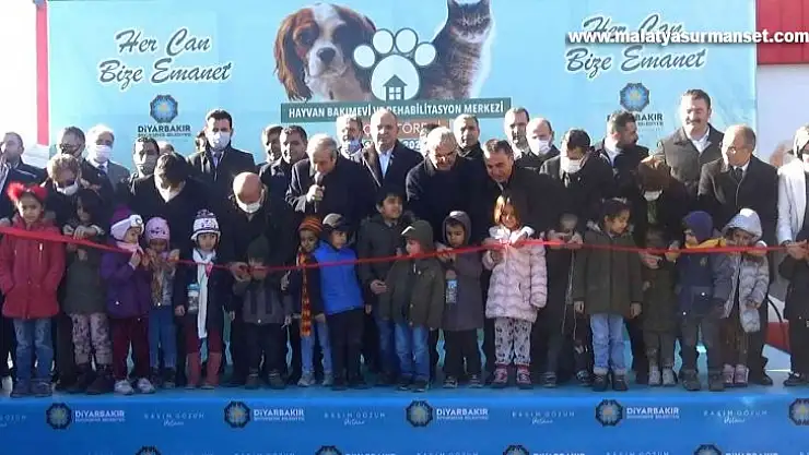 Diyarbakır ve çevresinde bulunan sokak hayvanları için 5 yıldızlı yuva açıldı