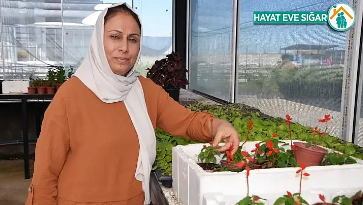Diyarbakırlı ev hanımı Uygun, Güneydoğu'nun ilk çiçek serasını kurdu