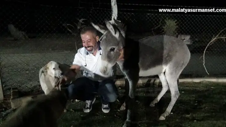 Diyarbakırlı iş adamı yolda ayağı kırık halde gördüğü eşeğe şefkat eli uzattı