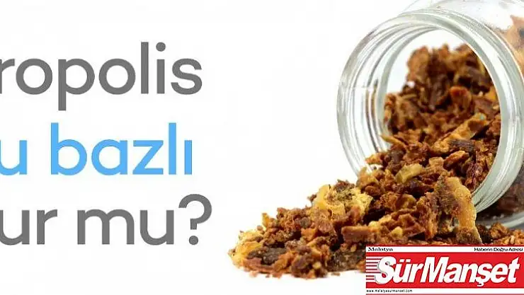 Doç. Dr. Güven: 'Su bazlı propolis iddiasıyla satılan ürünlerde hile tespit edildi'