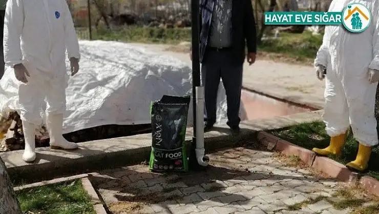 Doğanşehir'de  sokak hayvanları unutulmadı