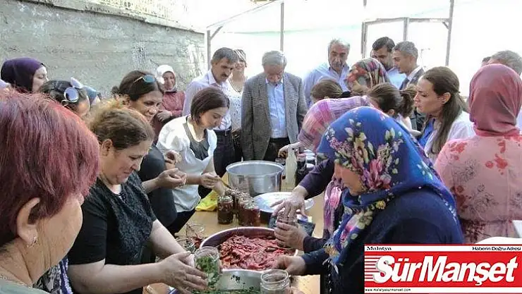 Doğanşehir'de kapya biber hasadı başladı