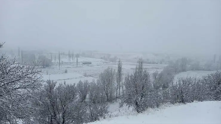 Doğanşehir'de kar yağışı etkili oldu.