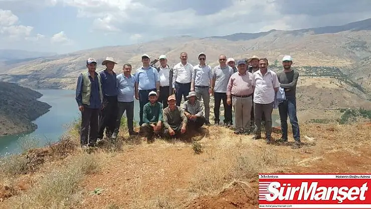 Doğanyol'da Antep Fıstığı üretilecek