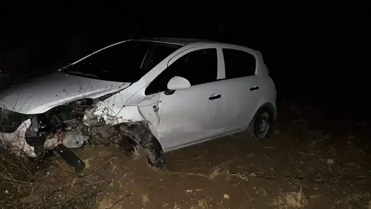 Domuz sürüsüne çarpan otomobilde 4 kişi yaralandı