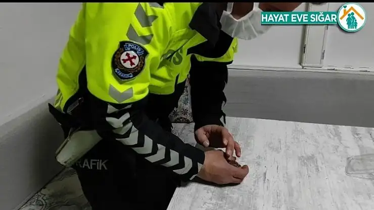 Donmak üzere olan serçeye polis şefkati