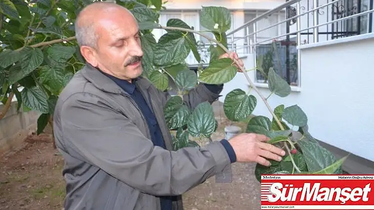 Dutlar mevsimi şaşırdı