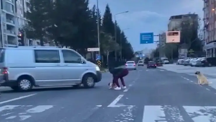 Duyarlı vatandaş anne köpeğin çaresizliğine dayanamadı
