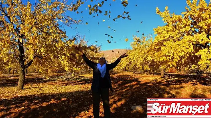 Elazığ'da 'altın yaprakların' görsel şöleni
