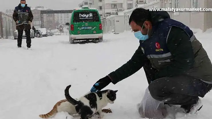 Elazığ'da 'HAYDİ' polisleri sokak hayvanlarını mamayla besledi