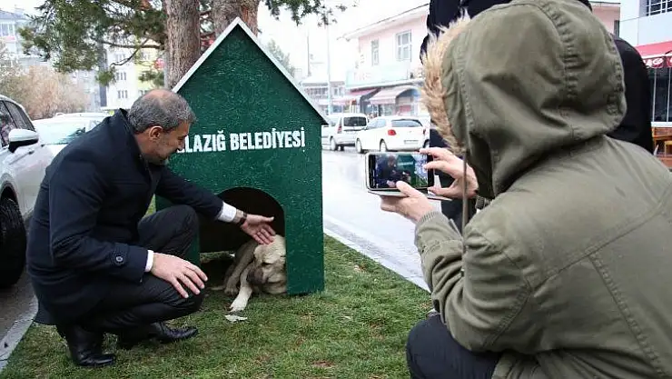 Elazığ'da 'Köpek Dostu ilçe' kış nedeniyle kulübelerle donatıldı