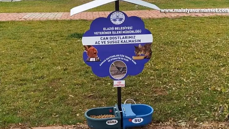 Elazığ'da 90 parka, sokak hayvanları için su ve mama kapları bırakıldı