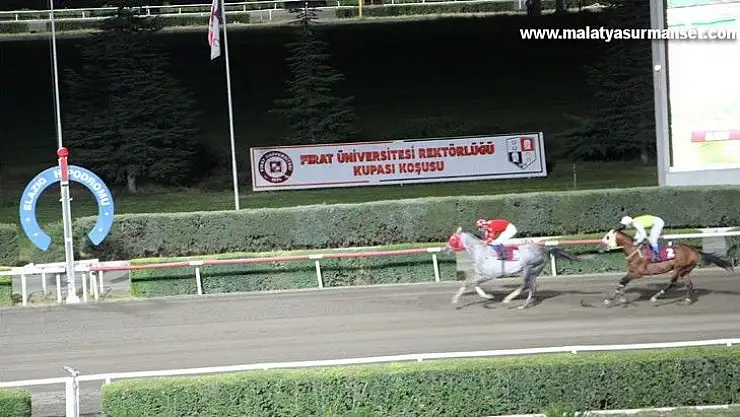 Elazığ'da at yarışlarına sayılı günler kaldı