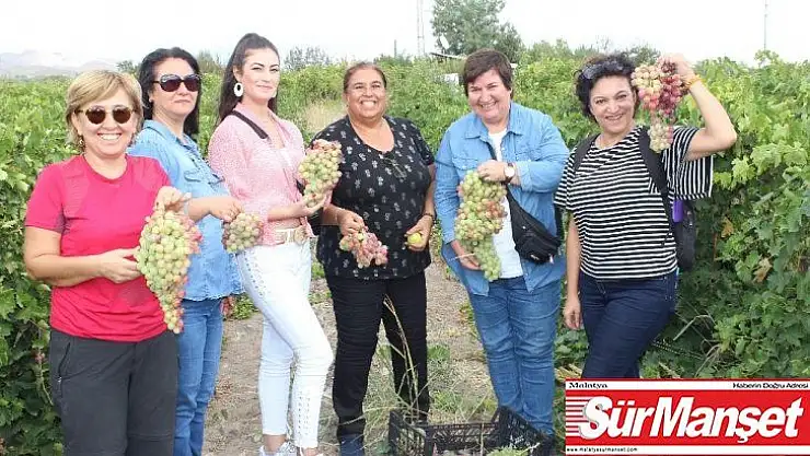 Elazığ'da bağ bozumu turizmi