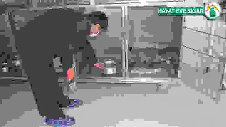 Elazığ'da bitkin halde bulunan tilki tedavi altına alındı