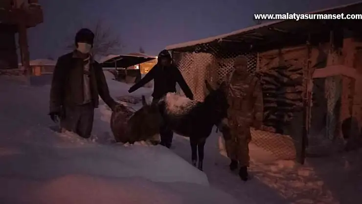 Elazığ'da donmak üzere olan hayvanlar kurtarıldı
