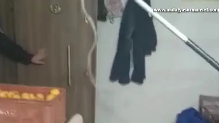 Elazığ'da eve giren 1 metrelik yılan paniğe neden oldu, ailenin yardımına itfaiye ekipleri yetişti