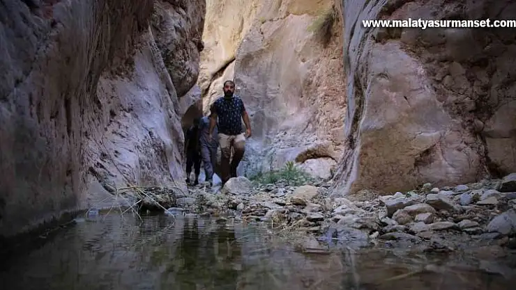 Elazığ'da heyecanlandıran keşif, Gümüşçay Kanyonu