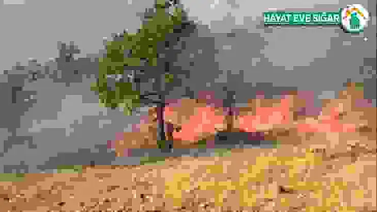 Elazığ'da orman yangını