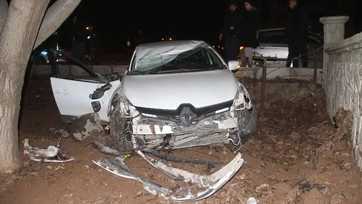 Elazığ'da otomobil bahçeye uçtu: 2 yaralı