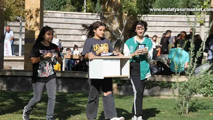 Elazığ'da sokak hayvanları için ev yapıldı