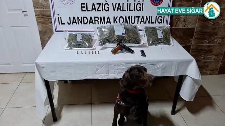 Elazığ'da uyuşturucu operasyonu:2 gözaltı