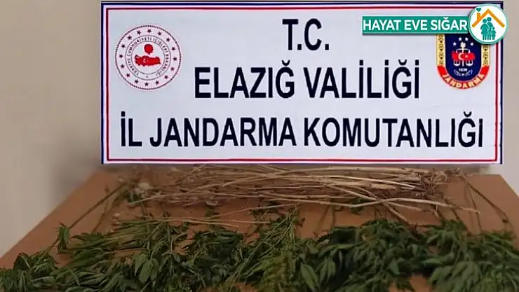 Elazığ'da uyuşturucuyla mücadele çalışması