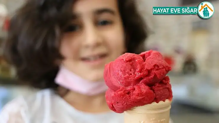 Elazığ'ın patent yolundaki lezzeti: Vişne dondurmasının tadı ülke sınırlarını aştı