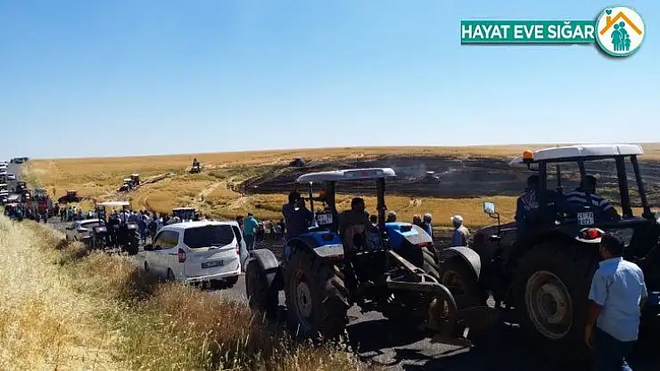 Elektrik direğinden çıkan kıvılcım 50 dönüm ekili araziyi küle çevirdi