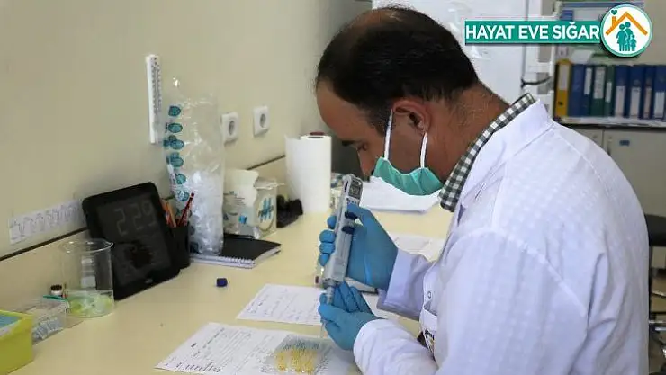 ELISA testi ile hem koronavirus hem de antikorları daha çabuk tespit edilebilecek