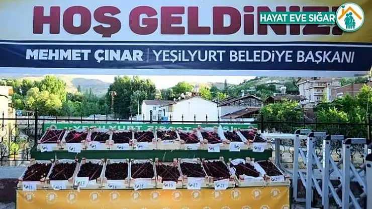 En iyi Yeşilyurt kirazı 21 Haziran'da belirlenecek