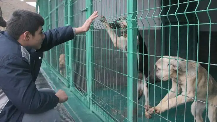 Engelli öğrencilerden alkışlanacak proje