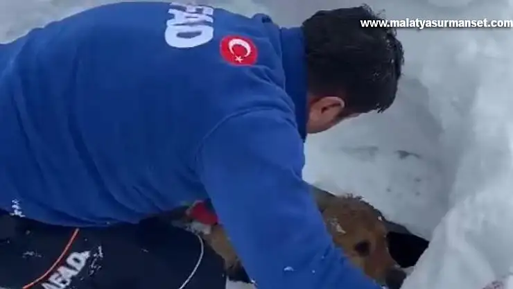 Enkaz altında kalan köpeği AFAD ekipleri kurtardı