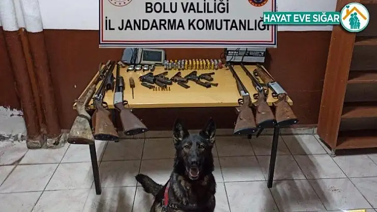 Evden cephanelik çıktı