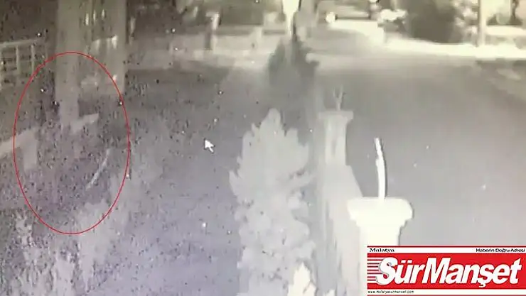 Eve tırmanarak giren hırsız yakalandı