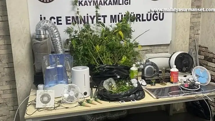 Evi uyuşturucu tarlasına dönüştürdüler