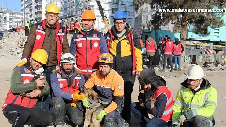 Ezan okunurken uluyan köpek ve yavruları, sesi fark eden görevlilerce enkazdan kurtarıldı