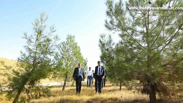 Fadıloğlu elleriyle diktiği fidanlardan oluşan ormanları gezdi