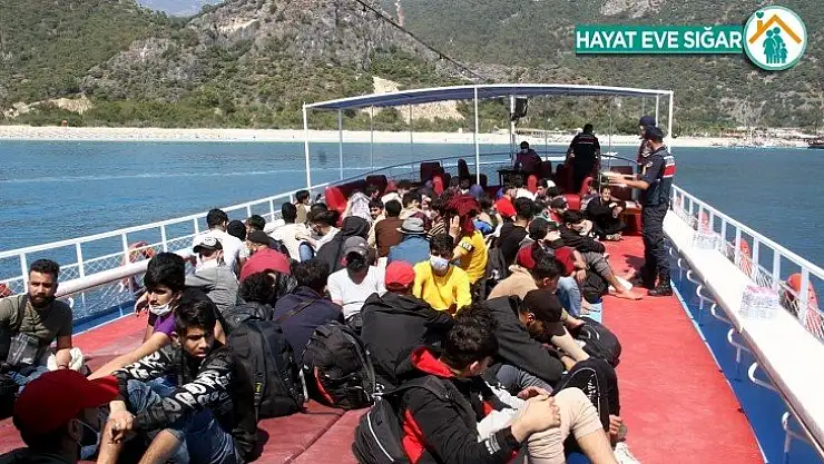 Fethiye'de 97 kaçak göçmen yakalandı