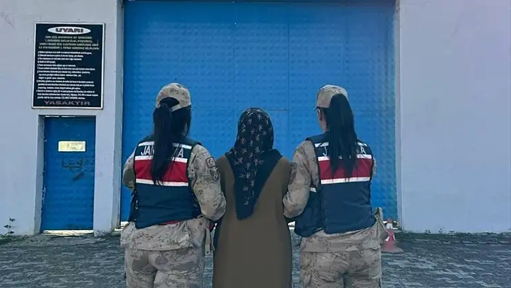FETÖ Firarisi 2 Kişi Jandarma Operasyonuyla Tutuklandı
