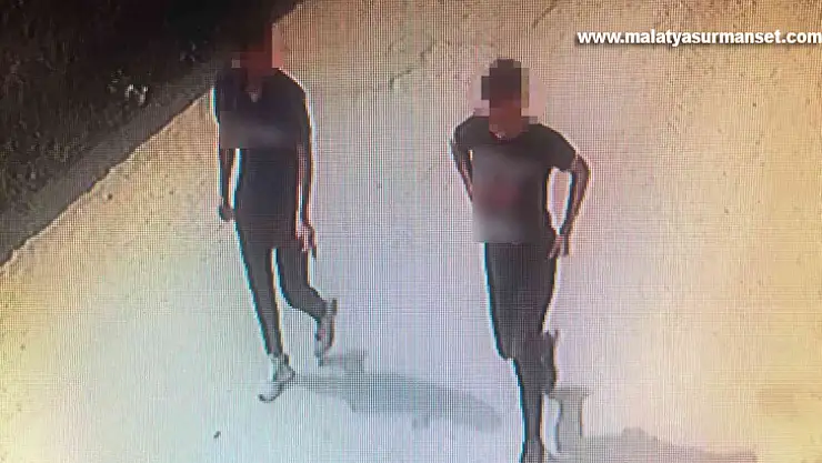 Fındık fareleri 53 saatlik kamera incelemesi sonrasında yakayı ele verdi